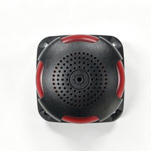 SOUND AND VOICE ALARM